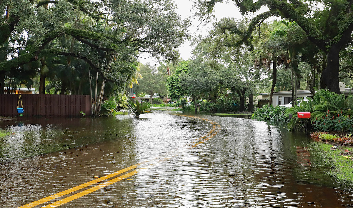 house flooding