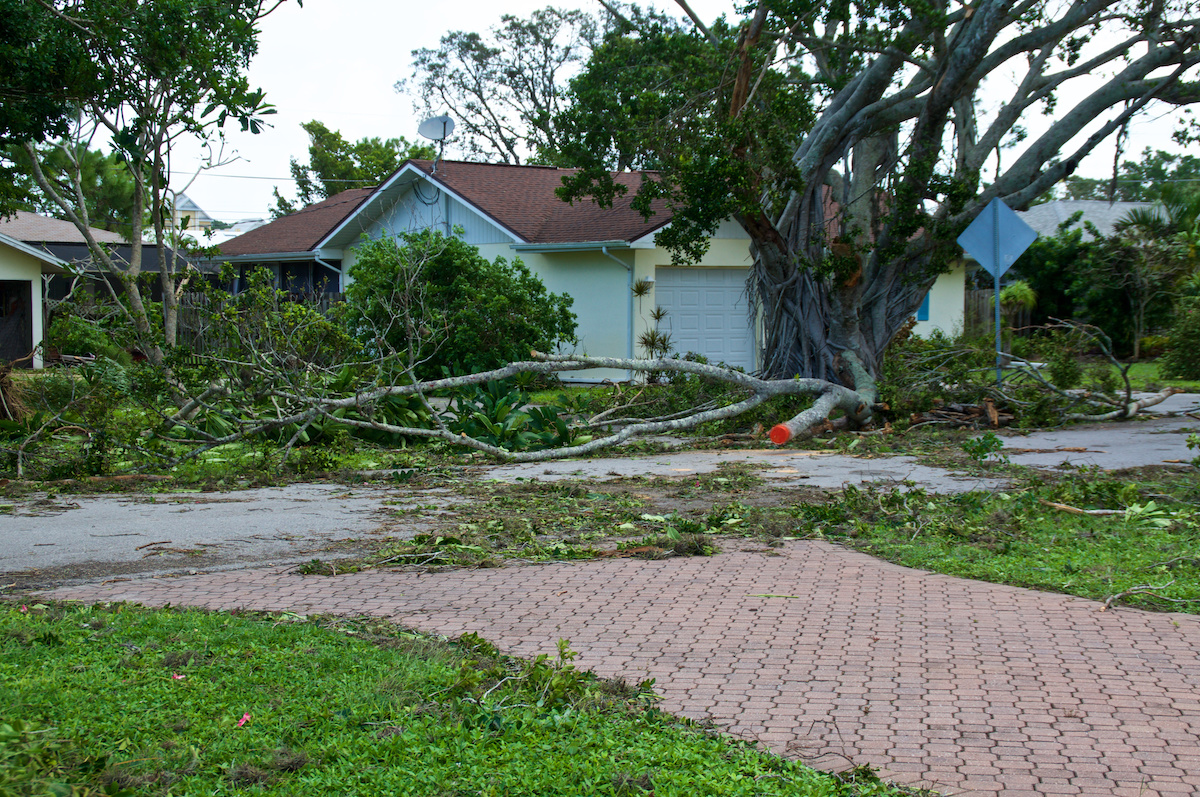 storm damage cleanup