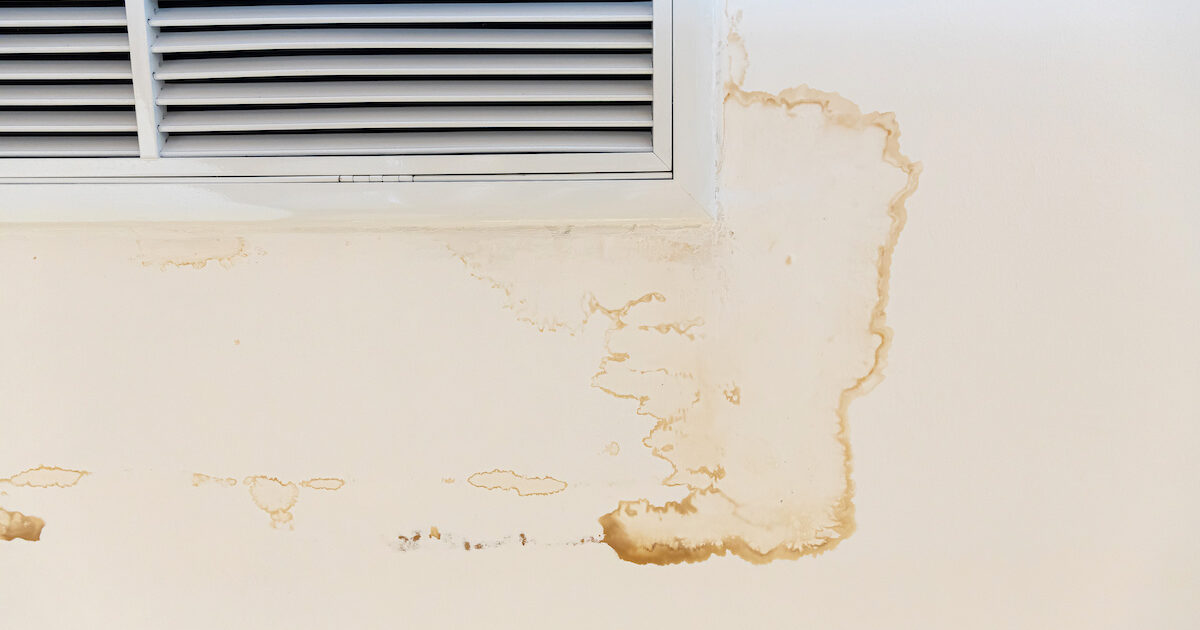 Mold Prevention