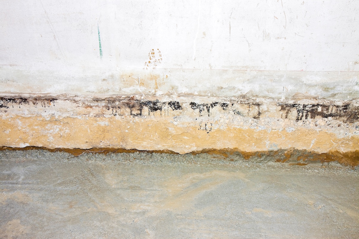 Crawl Space Inspections